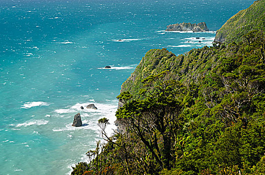 野外,海岸,海浪,雨林,密集,植被,蓝绿色海水,西海岸,南岛,新西兰,大洋洲