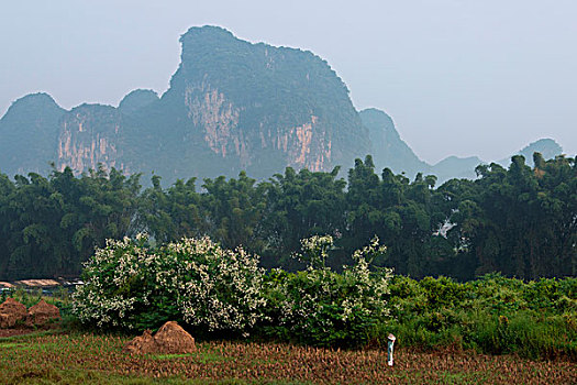 阳朔,桂林,广西,中国