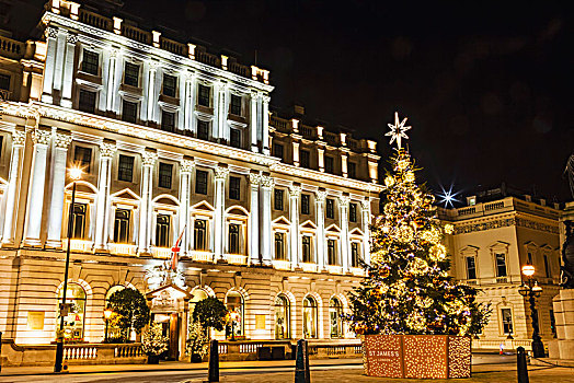 英格兰,伦敦,街道,滑铁卢,地点,酒店,圣诞树
