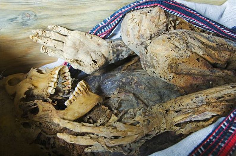 内脏器官标签:菲律宾吕宋岛山脉山峦省世界闻名洞穴木乃伊独特内脏