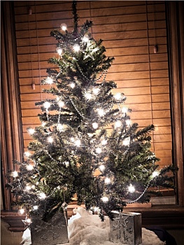 发光,小,圣诞树