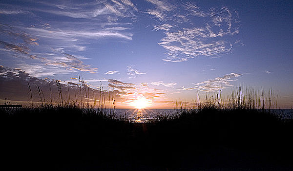 海洋,日落,威尼斯海滩,威尼斯,墨西哥湾,佛罗里达,美国