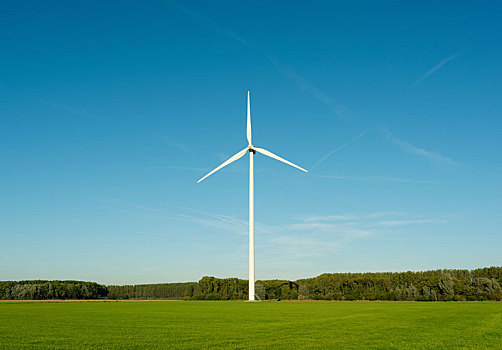 风轮机,自然保护区,荷兰