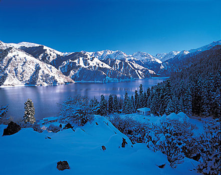 雪,场景,湖,新疆