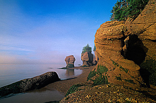 海岸线,岬角,芬地湾,新布兰斯维克,加拿大
