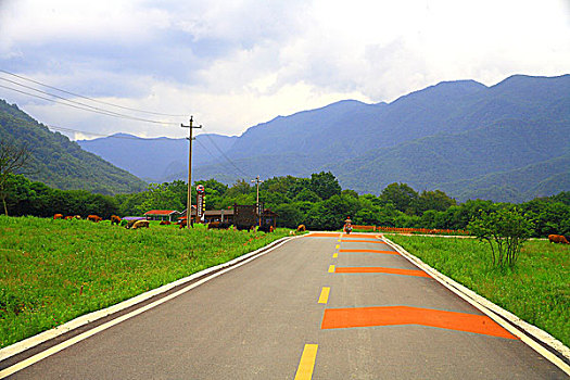 湖北神农架大九湖国家湿地公园