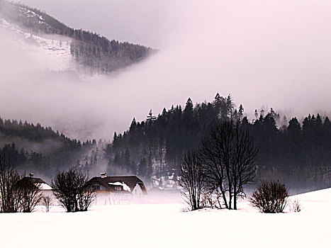 房子,位于,奥地利,阿尔卑斯山,树林,后面,积雪,山峦,低,云