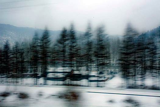 雪乡,雪村,吉林,临江市,村庄,山村,乡村,冬季,雪野,寒冷,农家,接待,旅游,松岭,东北,风情