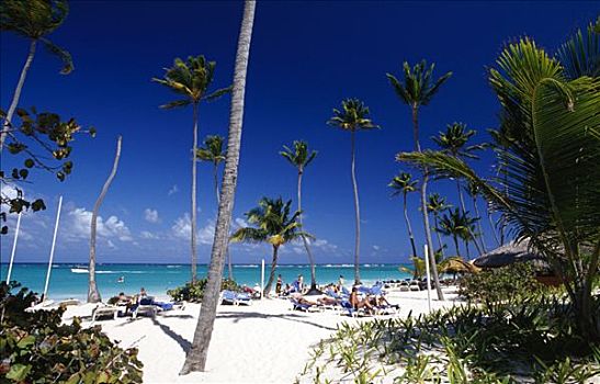 棕榈海滩,干盐湖,蓬塔卡纳,多米尼加共和国,加勒比海