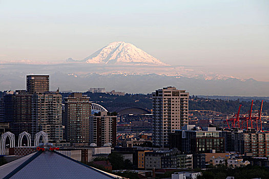 城市,雷尼尔山,风景,公园,西雅图,美国