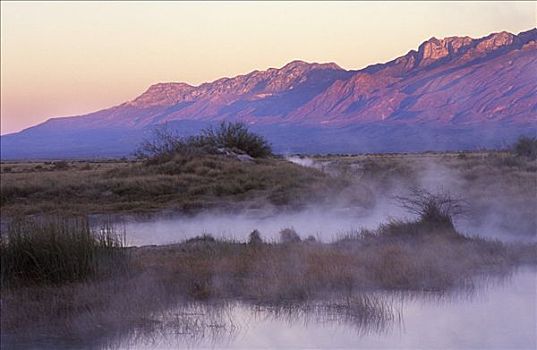 薄雾,上升,温泉,水塘,早晨,盆,科阿韦拉州,墨西哥