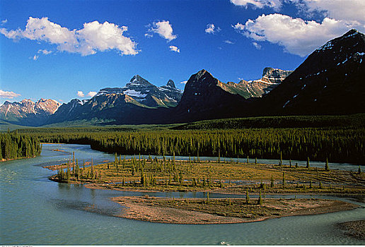 阿萨巴斯卡河,碧玉国家公园,艾伯塔省,加拿大