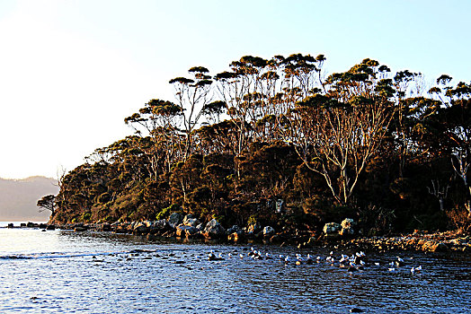 太平洋海岸风光