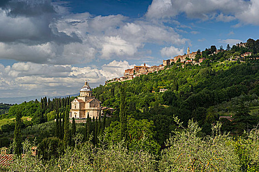 蒙蒂普尔查诺红葡萄酒,后面,锡耶纳省,托斯卡纳,意大利,欧洲