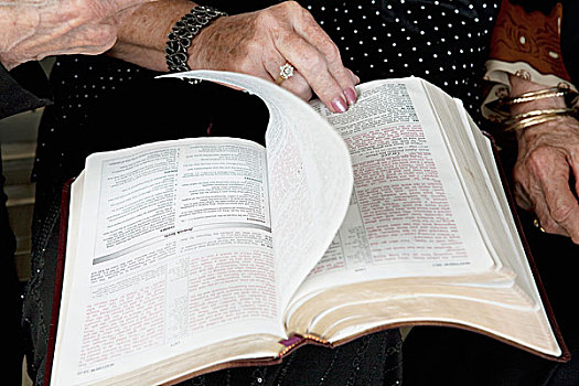 女人,翻转,圣经,埃德蒙顿,艾伯塔省,加拿大