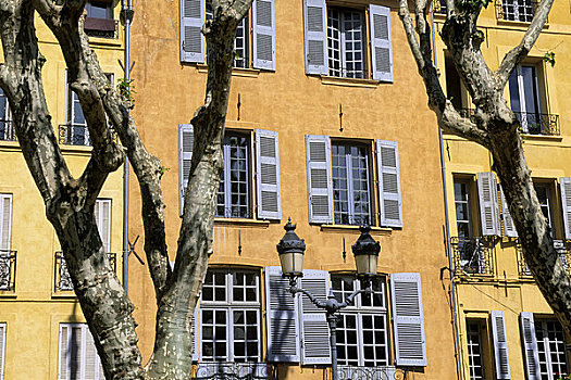 法国,普罗旺斯地区艾克斯,街景,房子,悬铃木,树