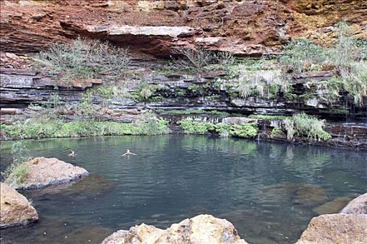 两个,游客,游泳,峡谷,卡瑞吉尼国家公园,区域,西澳大利亚