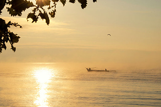 兴凯湖秋日晨光中的渔船