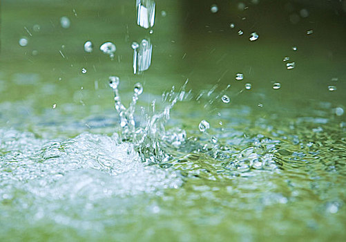 水滴,清新,饮用水,湿,降温,水,绿色,纯,降雨,清晰,清洁,水库,喝