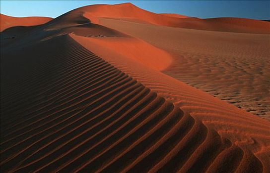 沙丘,公园,纳米布沙漠,纳米比亚