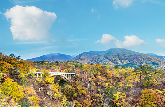 秋色,峡谷,日本,漂亮,蓝色,云,背景
