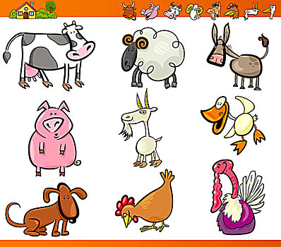 家畜,卡通,插画