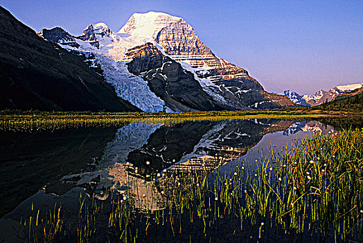 山,反射,冰山,湖,三角洲,罗布森山省立公园,不列颠哥伦比亚省,加拿大