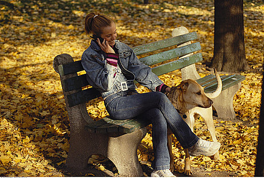 女青年,坐,公园长椅,手机,狗