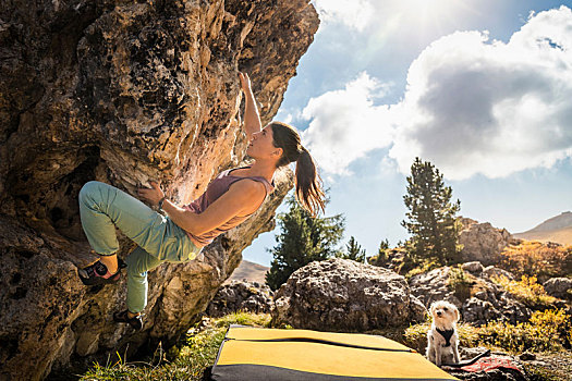 女人,攀登运动,狗,看,城市,白云岩