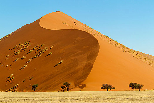沙丘,早晨,亮光,索苏维来地区,纳米布沙漠,纳米比沙漠,公园,纳米比亚,非洲
