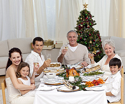 家庭,白葡萄酒,圣诞晚餐