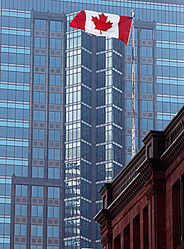 加拿大,国家,旗帜,正面,摩天大楼,蒙特利尔,魁北克