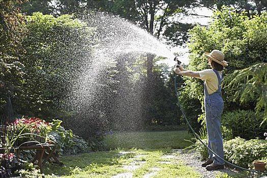 女人,浇水,花园