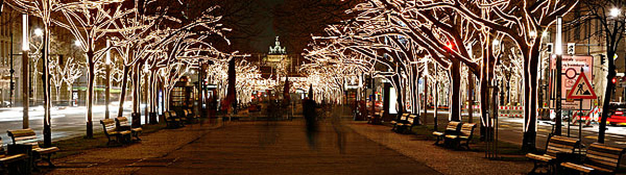 圣诞节,装饰,勃兰登堡,大门,菩提树,柏林,德国