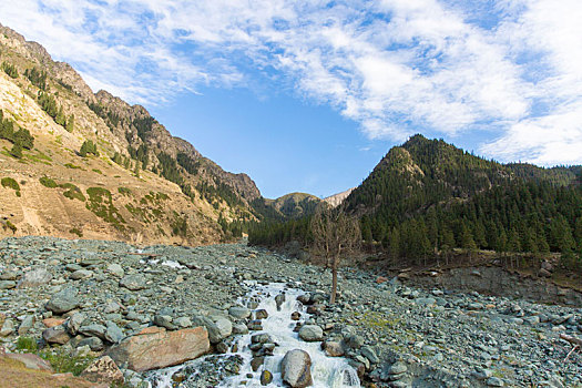 新疆天山博格达峰下白杨河风光