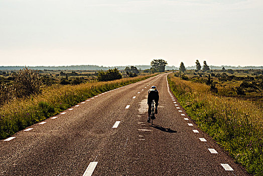 人,骑自行车,乡间小路