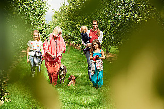 家庭,遛狗,苹果园