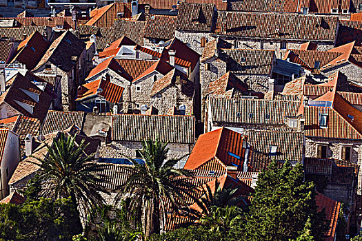 屋顶,家,夏娃岛,一个,著名,岛屿,克罗地亚