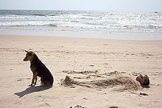 男孩,掩埋,沙子,海滩,狗