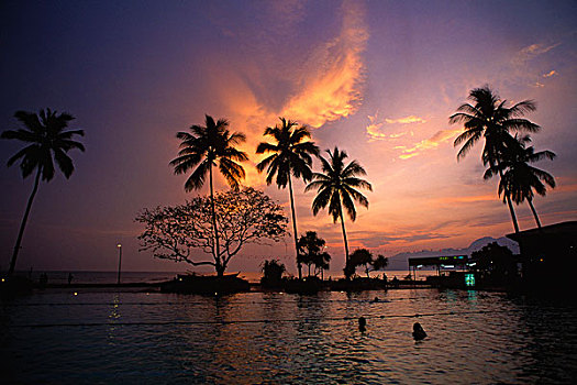 马来西亚,兰卡威,日落,棕榈树