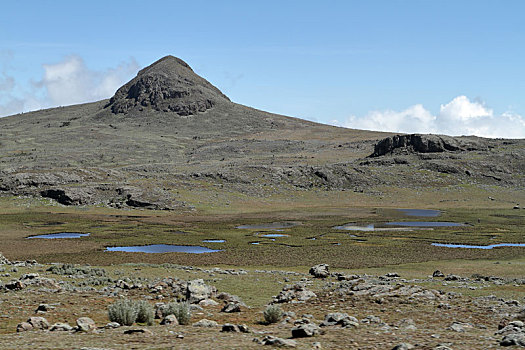 风景,大捆,山,国家公园,埃塞俄比亚