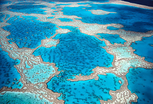俯拍,青绿色,大堡礁,太平洋,海洋,澳大利亚