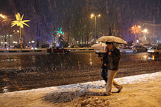 伊朗,情侣,重,雪,中心,德黑兰,首都