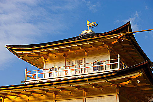 庙宇,金阁寺,京都,日本