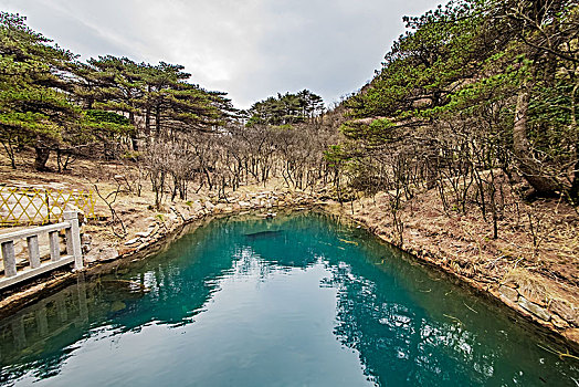 安徽省黄山市黄山景区天池自然景观