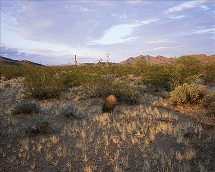 国家野生动植物保护区,亚利桑那,美国