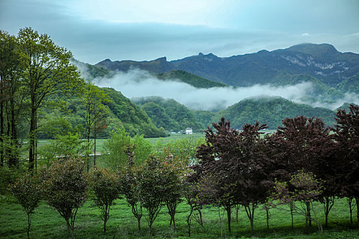 神农架,大九湖,风景,景点,旅游,高山,瀑布,河流,树木,植被,湿地,高原,湖泊,壮观