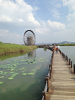 苏州太湖度假区湿地公园水车桥