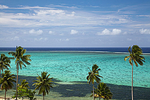 棕榈树,珊瑚礁,闲适,珊瑚海岸,维提岛,斐济,南太平洋