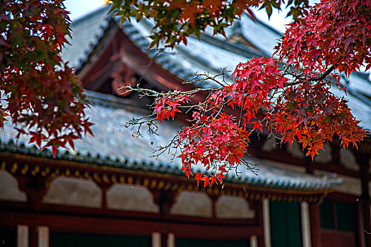 日本奈良东大寺